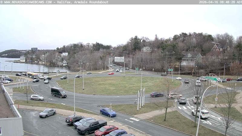 Armdale Roundabout 1