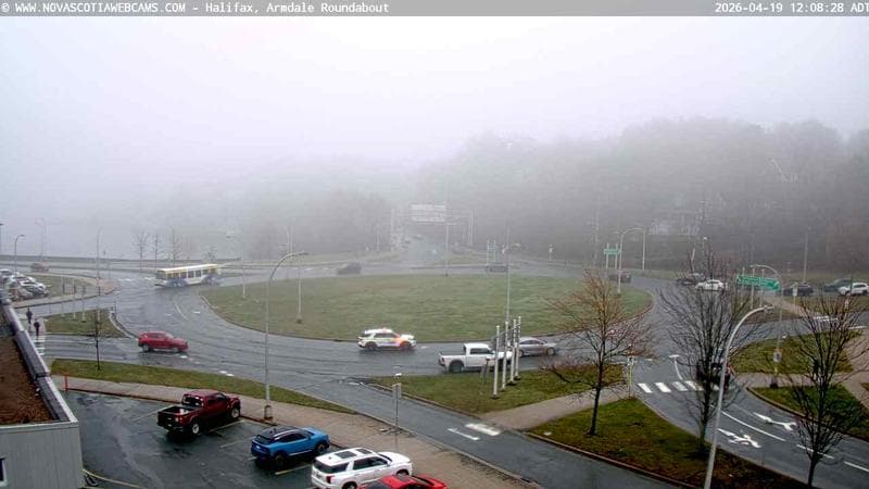 Armdale Roundabout 1