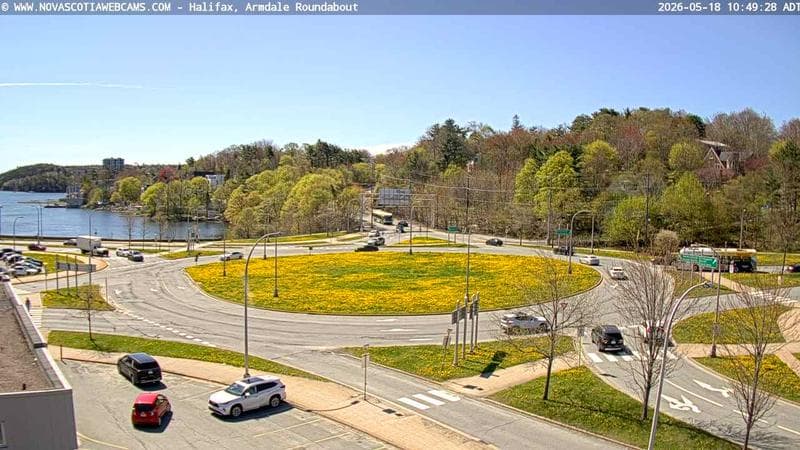 Armdale Roundabout 1