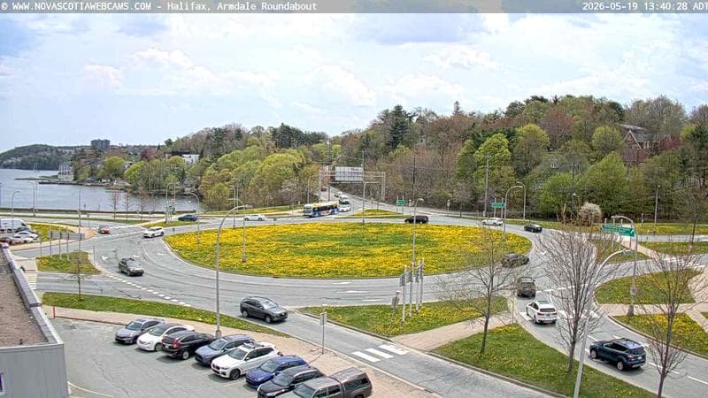 Armdale Roundabout 1