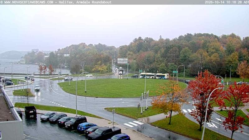 Armdale Roundabout 1