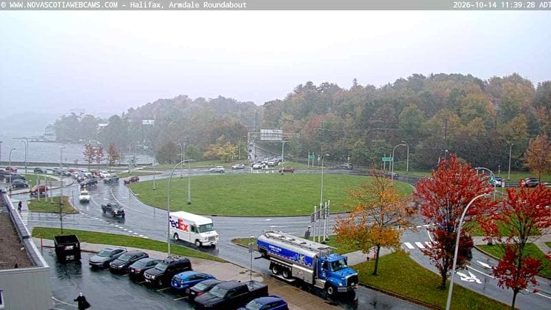 Armdale Roundabout 1