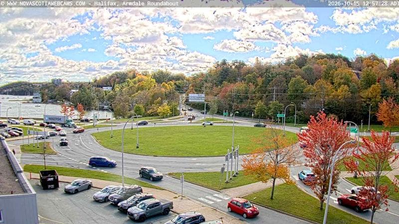 Armdale Roundabout 1