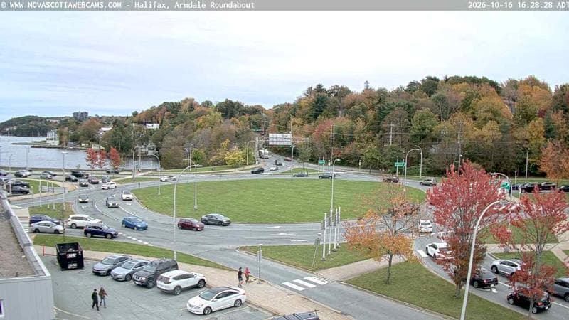 Armdale Roundabout 1