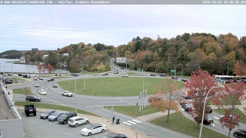 Armdale Roundabout 1