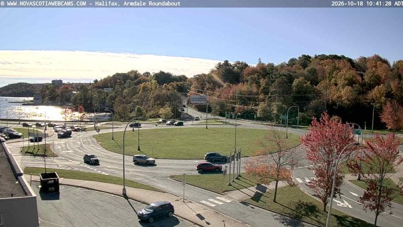 Armdale Roundabout 1