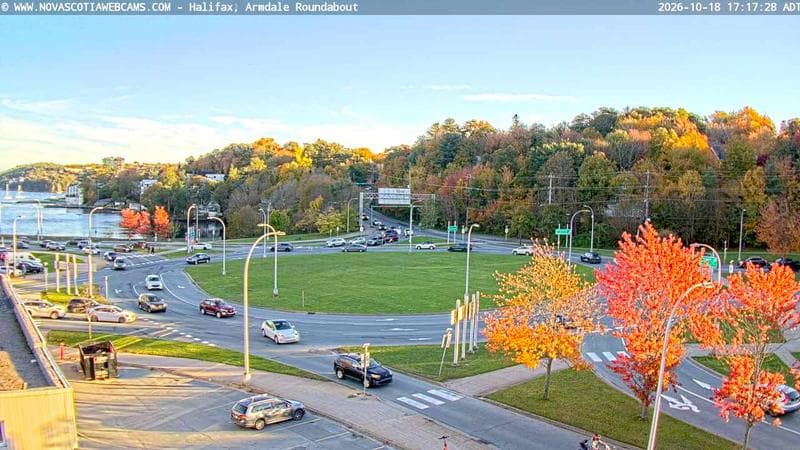 Armdale Roundabout 1