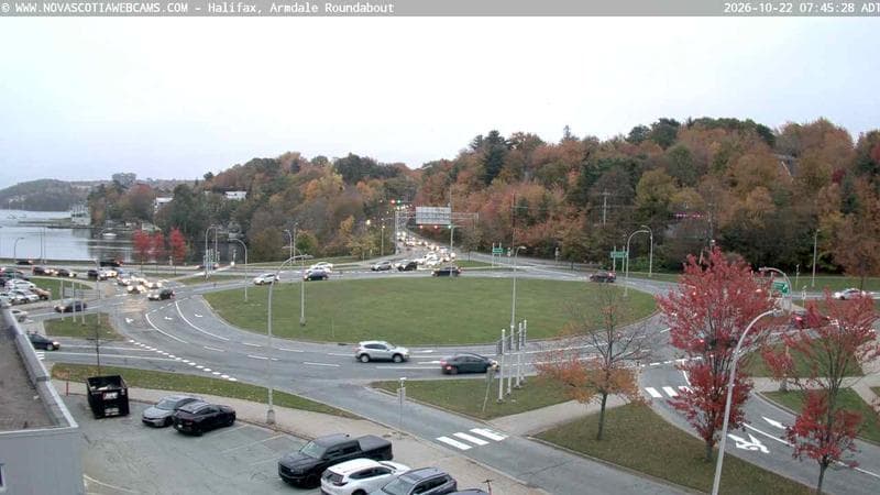 Armdale Roundabout 1