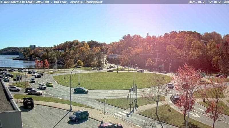 Armdale Roundabout 1