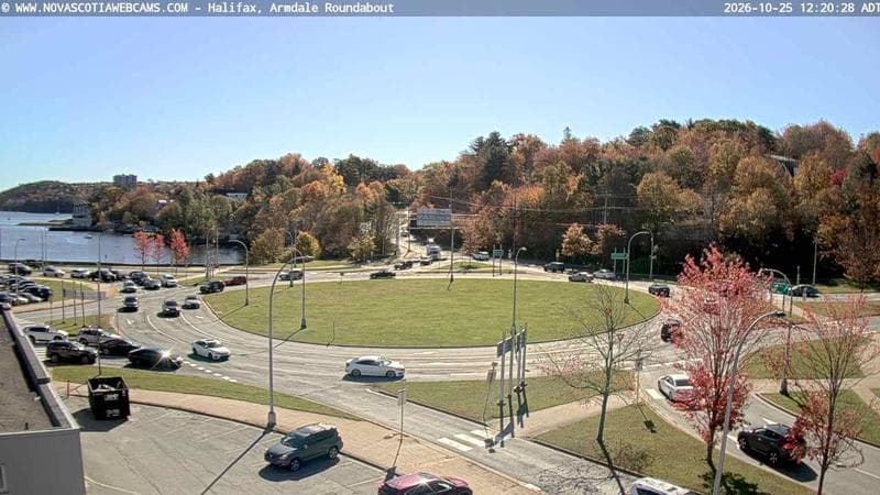 Armdale Roundabout 1