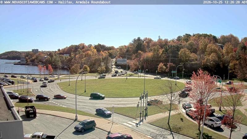 Armdale Roundabout 1