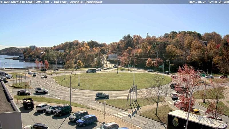 Armdale Roundabout 1