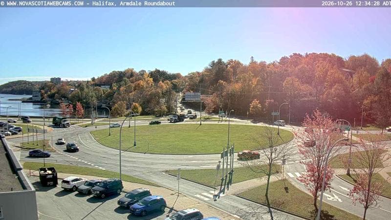 Armdale Roundabout 1