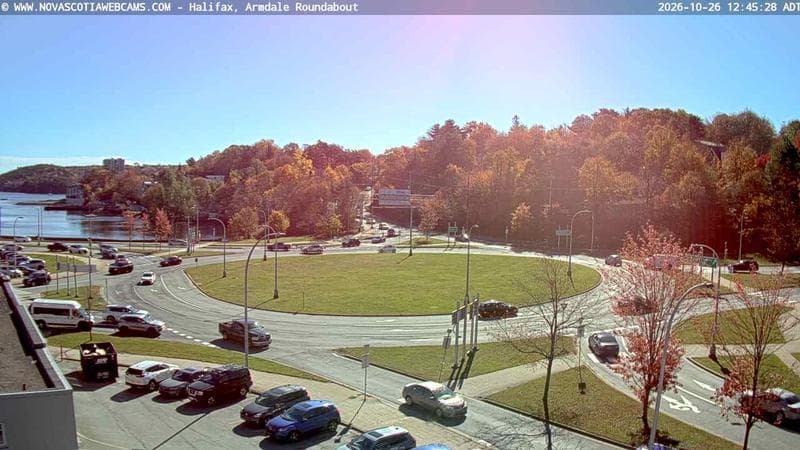 Armdale Roundabout 1