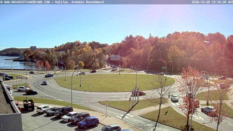 Armdale Roundabout 1