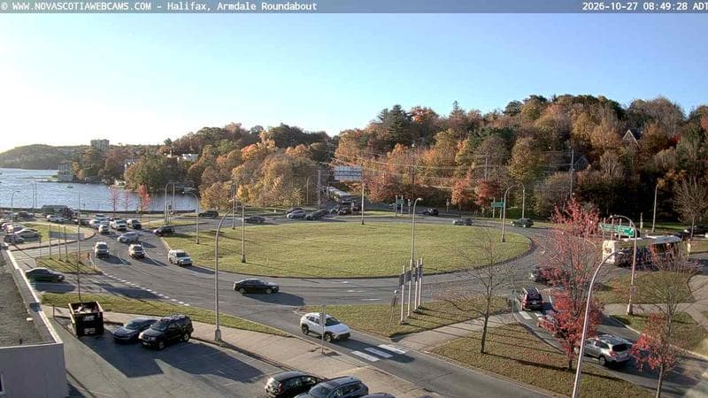 Armdale Roundabout 1