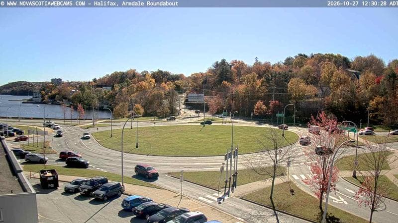 Armdale Roundabout 1