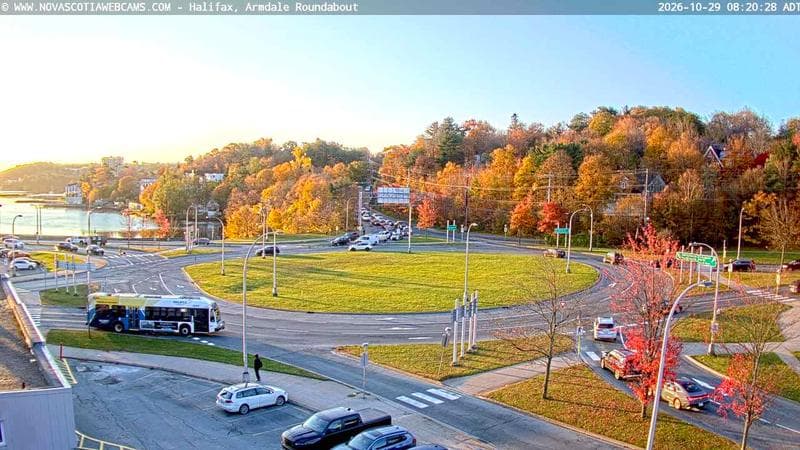 Armdale Roundabout 1