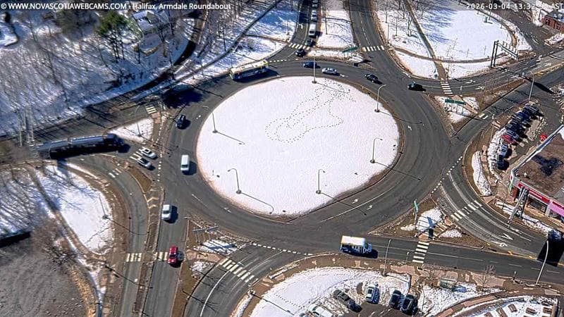 Armdale Roundabout 2