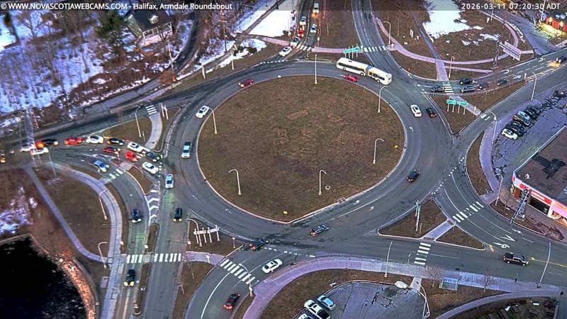 Armdale Roundabout 2
