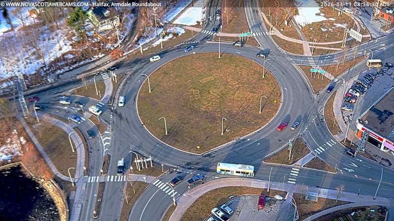 Armdale Roundabout 2