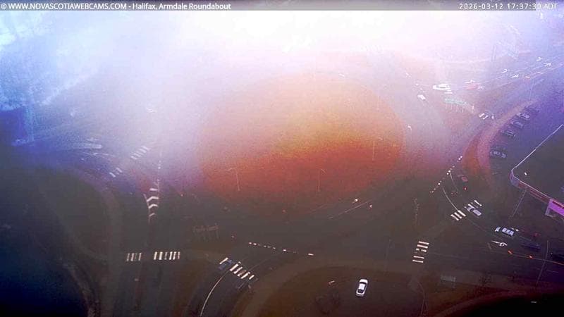 Armdale Roundabout 2