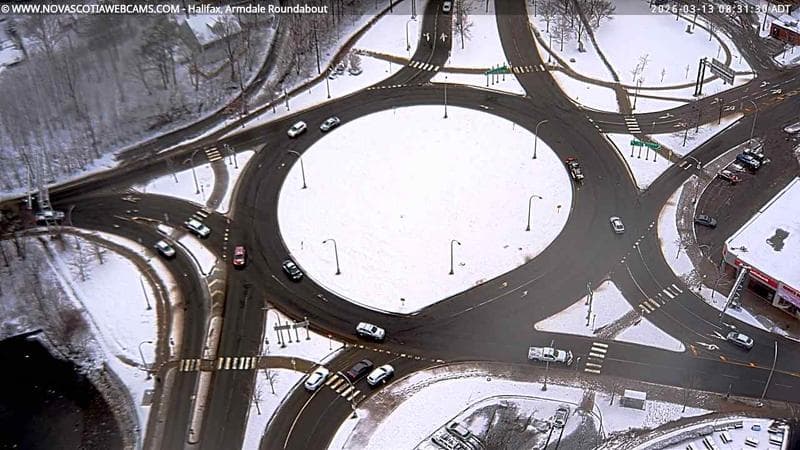 Armdale Roundabout 2