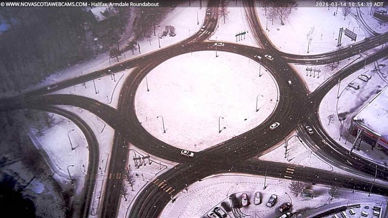 Armdale Roundabout 2