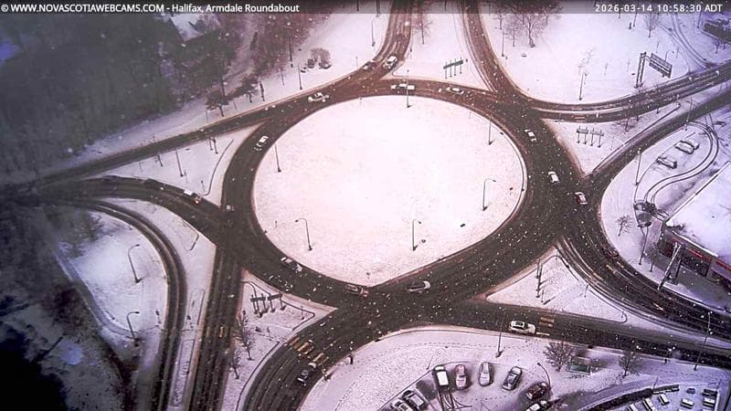 Armdale Roundabout 2