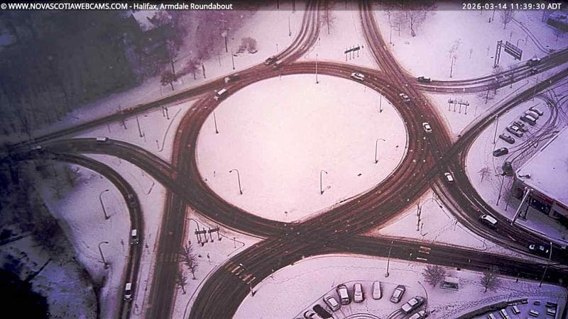 Armdale Roundabout 2