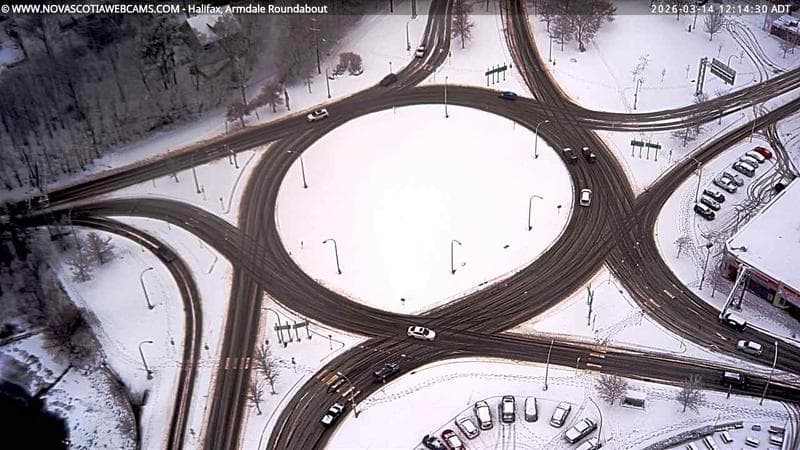 Armdale Roundabout 2