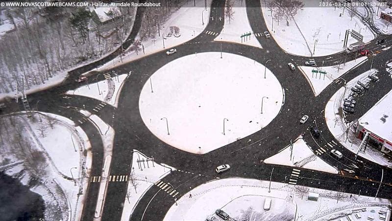 Armdale Roundabout 2