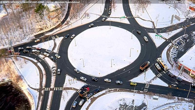 Armdale Roundabout 2