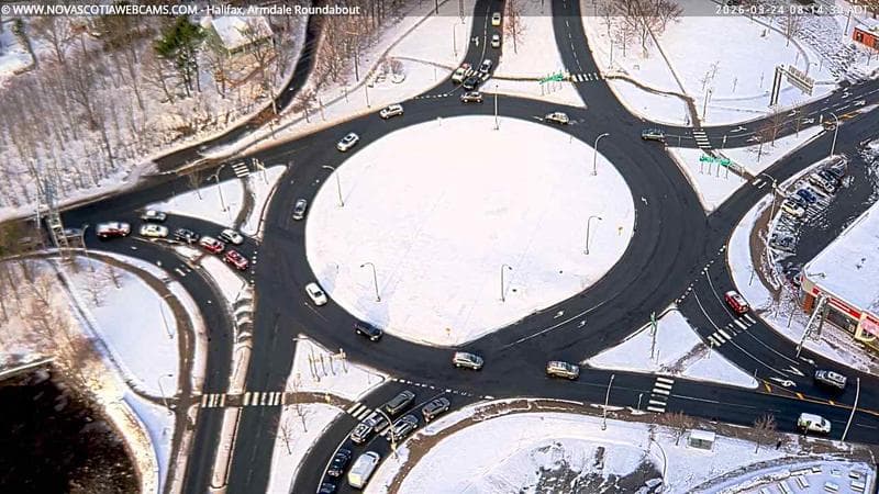 Armdale Roundabout 2