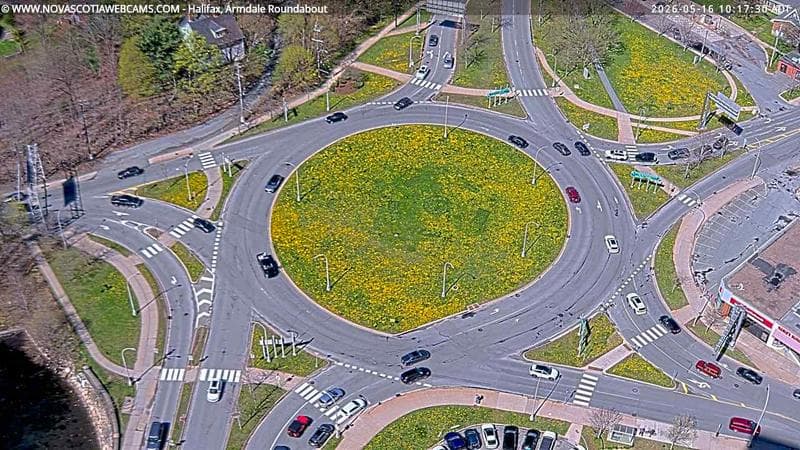 Armdale Roundabout 2
