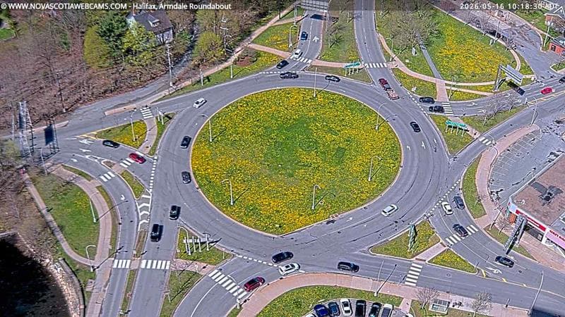 Armdale Roundabout 2