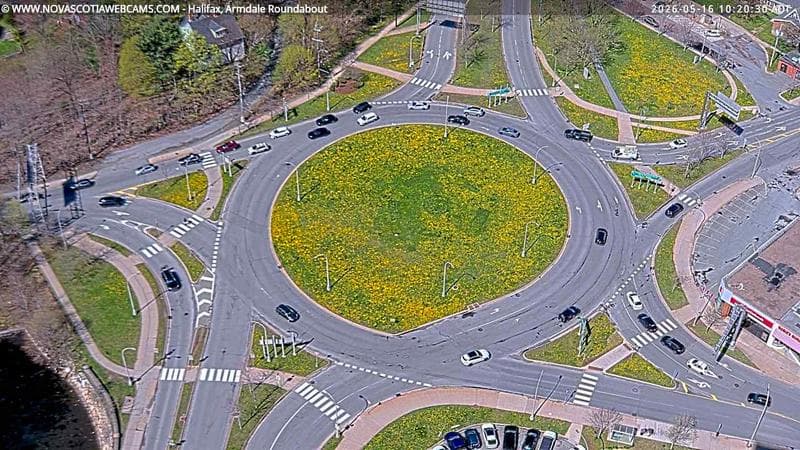 Armdale Roundabout 2