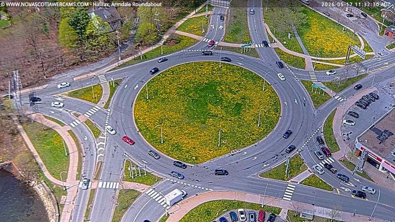 Armdale Roundabout 2