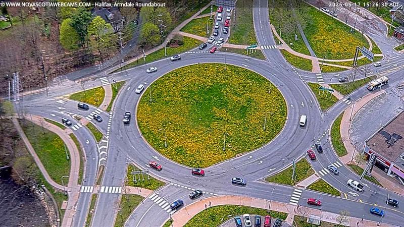 Armdale Roundabout 2