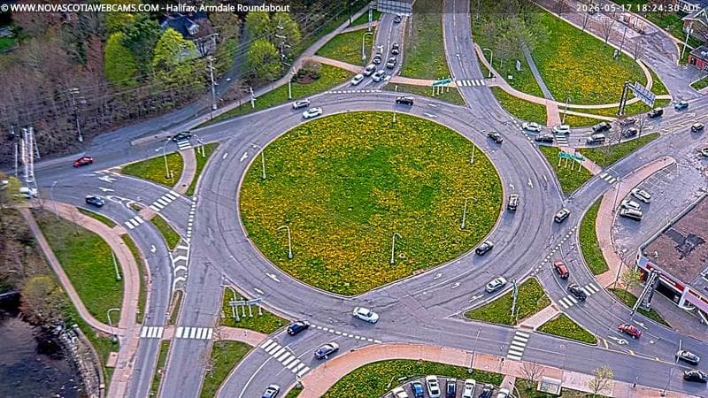 Armdale Roundabout 2