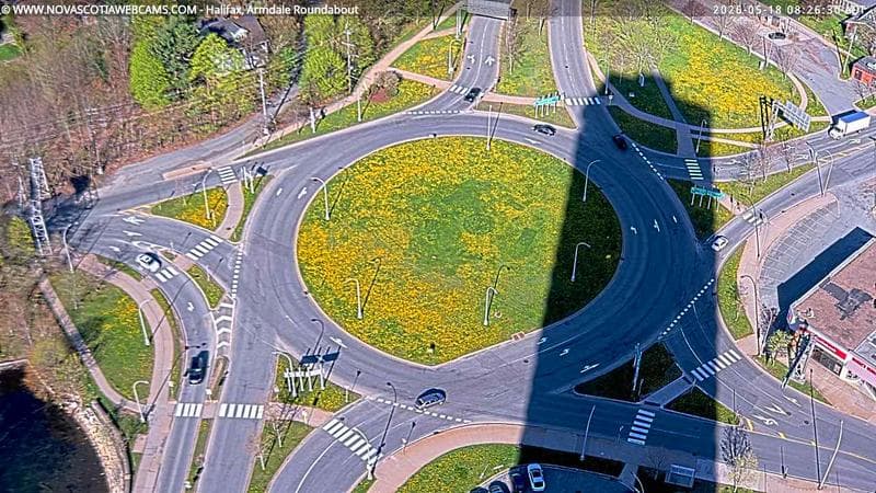 Armdale Roundabout 2