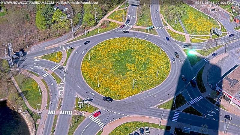 Armdale Roundabout 2