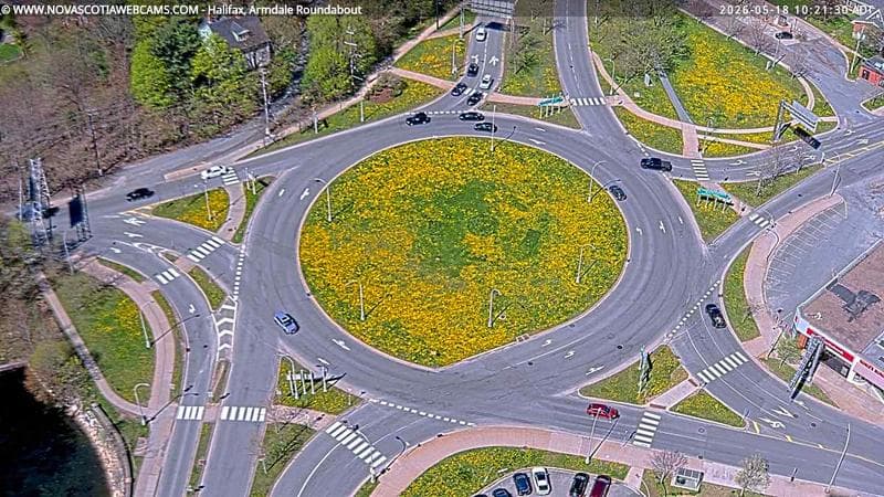 Armdale Roundabout 2