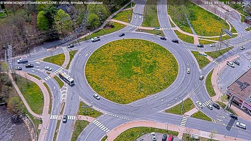 Armdale Roundabout 2