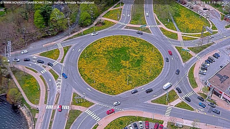 Armdale Roundabout 2