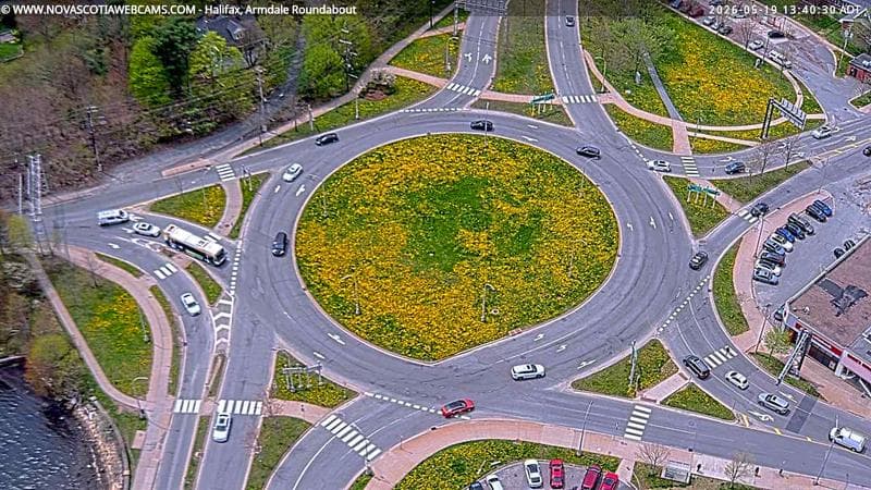 Armdale Roundabout 2