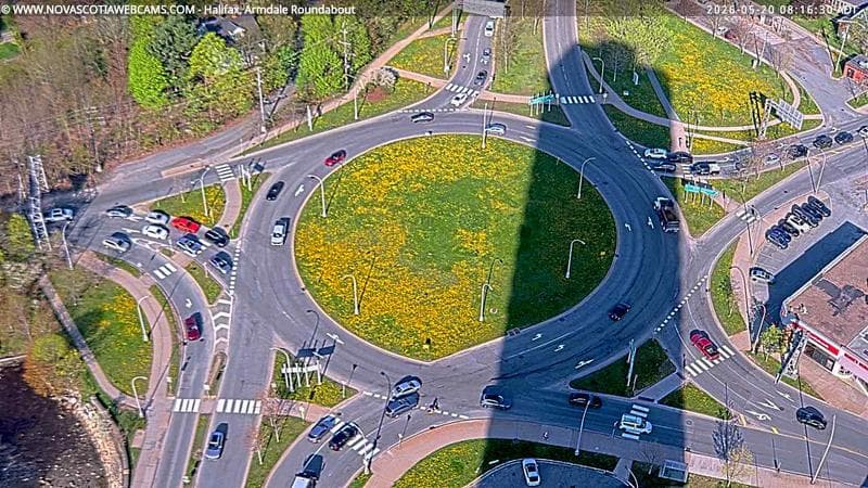 Armdale Roundabout 2