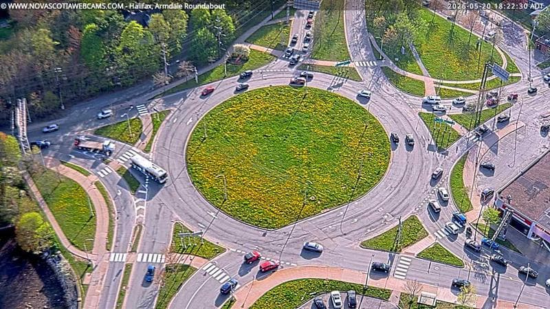 Armdale Roundabout 2