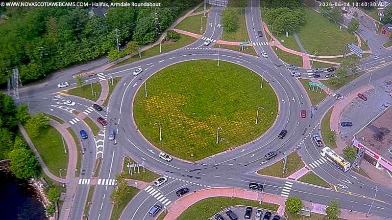 Armdale Roundabout 2