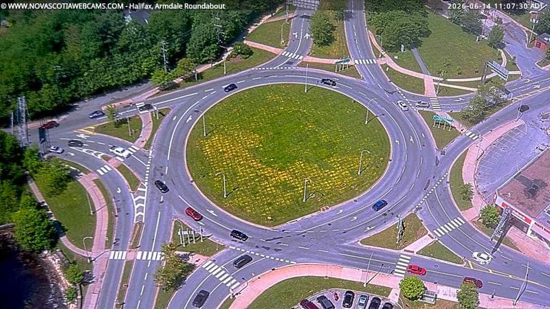 Armdale Roundabout 2